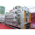 Multi layers stainless galvanized chicken cages for large scale farming